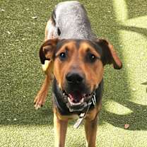 Thumbnail photo of Cassidy #4