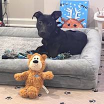 Thumbnail photo of Barkley #3