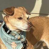 Thumbnail photo of Christopher Robinn #1