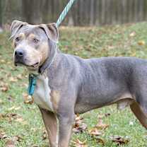 Thumbnail photo of Frank #2