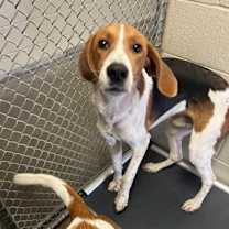 Thumbnail photo of Gravy #3