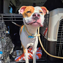 Thumbnail photo of Stan The Man JuM #2