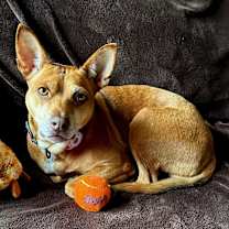 Thumbnail photo of Dolores  #1