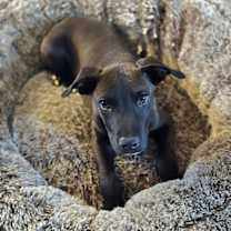 Thumbnail photo of Kayce #3