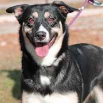 Thumbnail photo of SNICKERS #1