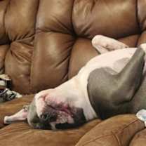 Thumbnail photo of Nana #4