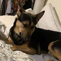 Thumbnail photo of Jenni #3