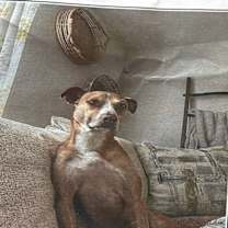 Thumbnail photo of Arnold JuM #2