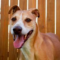 Thumbnail photo of Arnold JuM #4