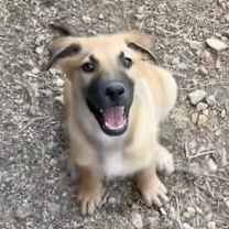 Thumbnail photo of Malibu CI #4