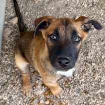 Thumbnail photo of Jack CI #1