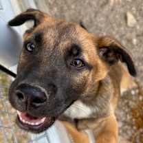 Thumbnail photo of Jack CI #4