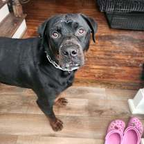 Thumbnail photo of Hack #4