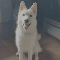 Thumbnail photo of Xarpo #2