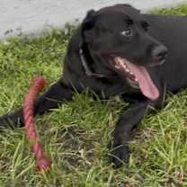 Thumbnail photo of Billie #1