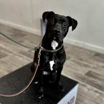 Thumbnail photo of YumYum #1