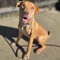 Thumbnail photo of Declan #2