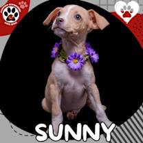 Thumbnail photo of SUNNY #1