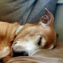 Thumbnail photo of KAHLUA #4