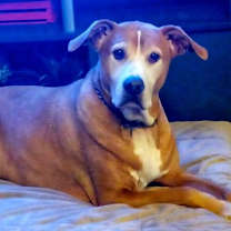 Thumbnail photo of KAHLUA #2