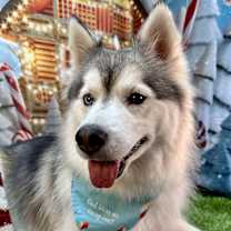 Thumbnail photo of Ice Baby #3