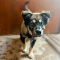 Thumbnail photo of jake⛷️ #2