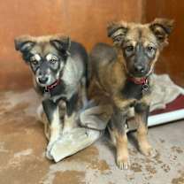 Thumbnail photo of jake⛷️ #3