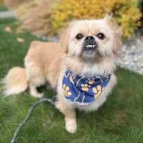 Thumbnail photo of Electrode #2