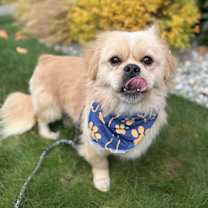 Thumbnail photo of Electrode #4