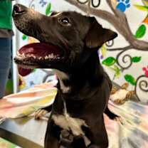 Thumbnail photo of Chase 25 #3