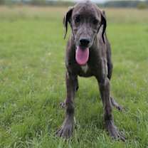 Thumbnail photo of SHINE ! #1