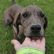 Thumbnail photo of SHINE ! #3