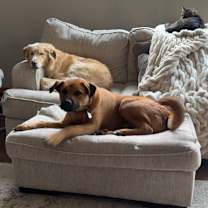 Thumbnail photo of Ford #2