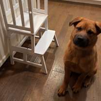 Thumbnail photo of Ford #4