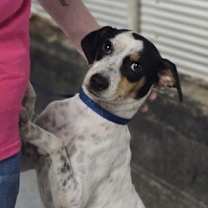 Thumbnail photo of January Valentine~ #4