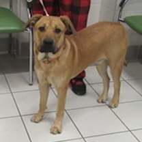 Thumbnail photo of Pistachio #3