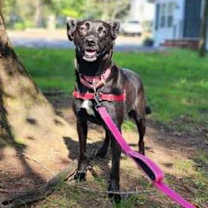 Thumbnail photo of Ramona #3