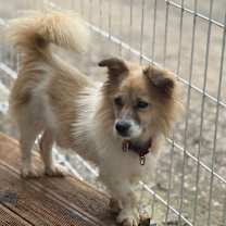 Thumbnail photo of TUN TUN #3