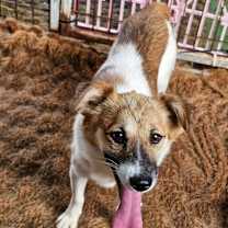 Thumbnail photo of YUNA #1