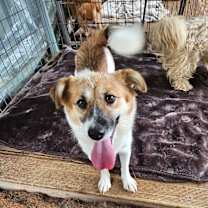 Thumbnail photo of YUNA #2