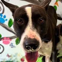 Thumbnail photo of Beyonce 25 #3