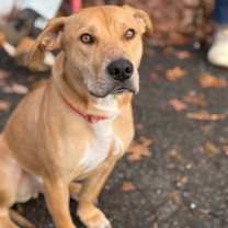 Thumbnail photo of Brady #2