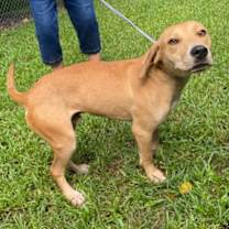 Thumbnail photo of Brady #3