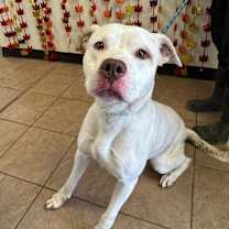 Thumbnail photo of Rumble #2