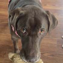 Thumbnail photo of Zoe Bella #2