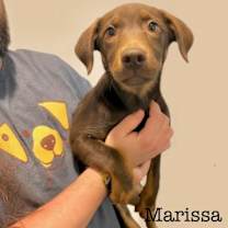 Thumbnail photo of Marissa #1