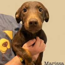 Thumbnail photo of Marissa #2