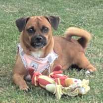 Thumbnail photo of Polly  #1