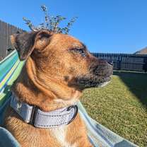 Thumbnail photo of Polly  #3