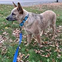 Thumbnail photo of LUCY #4